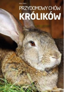 Przydomowy chów królików