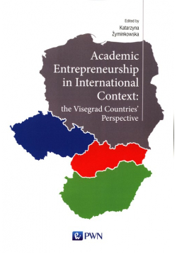 Academic Entrepreneurship in International Context: the Visegrad Countries' Perspective