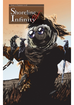 Shoreline of Infinity 12