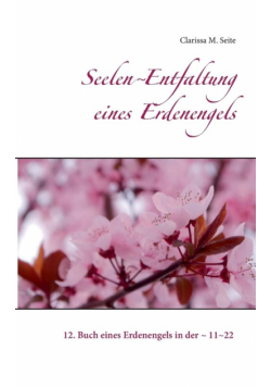 Seelen~Entfaltung eines Erdenengels