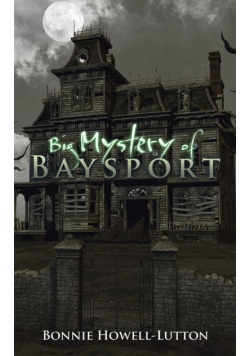Big Mystery of Baysport