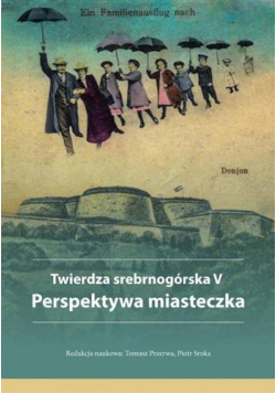 Twierdza srebrnogórska V Perspektywa miasteczka