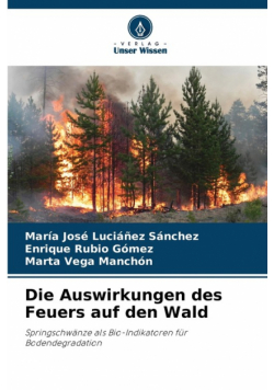 Die Auswirkungen des Feuers auf den Wald