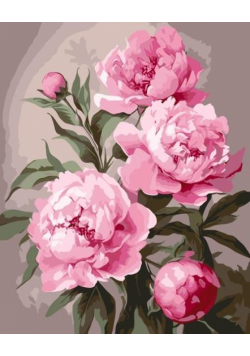 Malowanie po numerach - Piwonia 40x50cm
