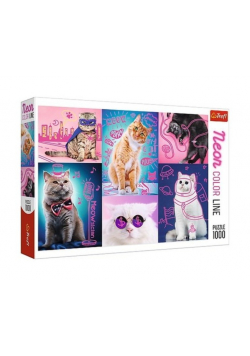 Puzzle Super koty 1000