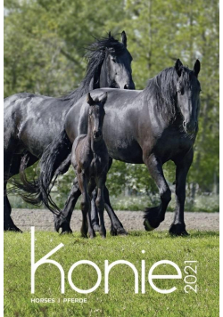 Kalendarz 2021 Ścienny Konie CRUX