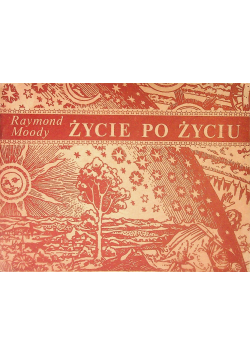 Życie po życiu