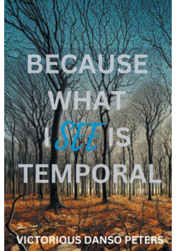 Because What I See Is Temporal