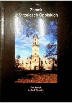 Zamek w Strzelcach Opolskich