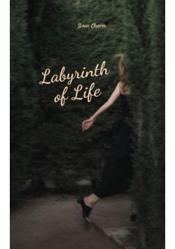 Labyrinth of Life