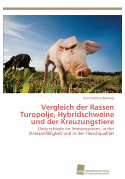 Vergleich der Rassen Turopolje, Hybridschweine und der Kreuzungstiere