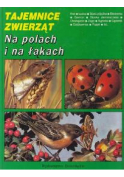 Tajemnice zwierząt Na polach i na łąkach