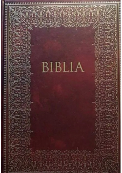 Pismo Święte Starego i Nowego Testamentu