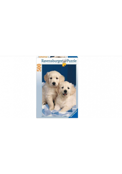 Puzzle 500 Szczenięta Golden Retriever