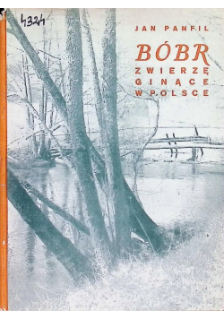 Bóbr zwierzę ginące w Polsce