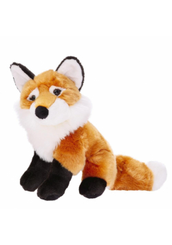 Lis pospolity 18cm