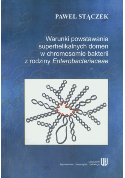 Warunki powstania superhelikalnych domen w chromosomie bakterii z rodziny Enterobacteriaceae