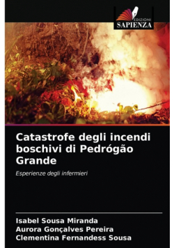 Catastrofe degli incendi boschivi di Pedrógão Grande