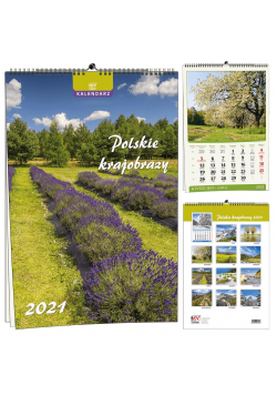 Kalendarz 2021 7 Plansz Polskie KrajobrazyEV-CORP