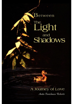 Between The Light and Shadows