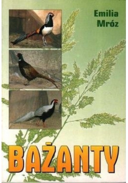 Bażanty
