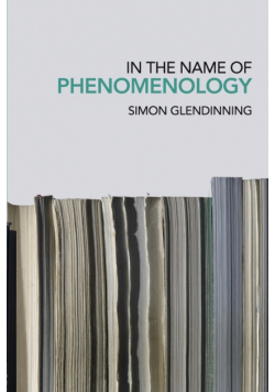 In the Name of Phenomenology