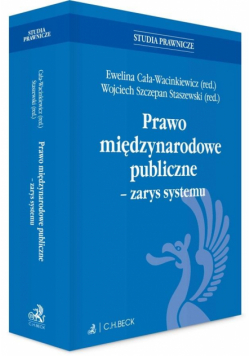 Prawo międzynarodowe publiczne - zarys systemu