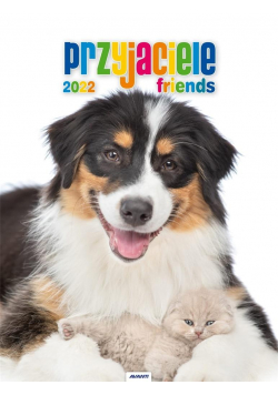 Kalendarz 2022 KSM-7 Przyjaciele AVANTI