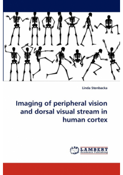 Imaging of peripheral vision and dorsal visual stream in human cortex