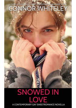 Snowed In Love