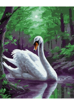 Malowanie po numerach Magiczny Łabędź 40x50 cm