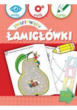Widzę, myślę, rysuję. Zwariowane łamigłówki