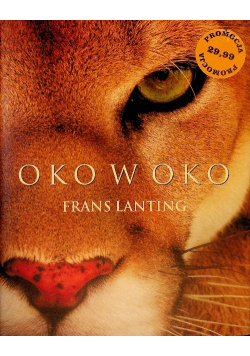 Oko w oko