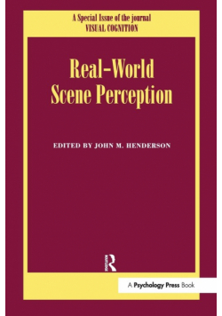 Real World Scene Perception