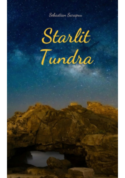 Starlit Tundra