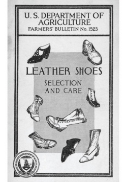 Leather Shoes, Selection and Care
