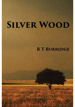 Silver Wood