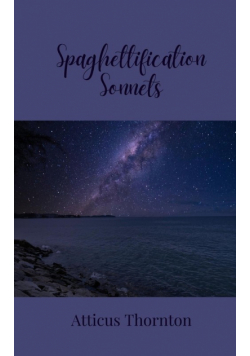 Spaghettification Sonnets