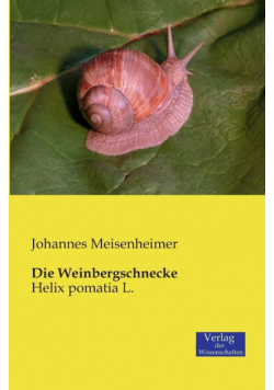 Die Weinbergschnecke