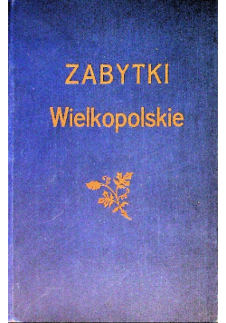 Zabytki wielkopolskie 1929 r.