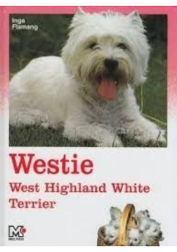 Westie west highland white terrier