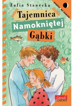 Tajemnica namokniętej gąbki