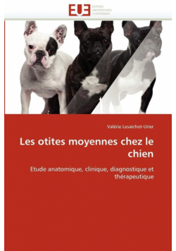Les otites moyennes chez le chien