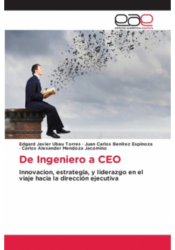 De Ingeniero a CEO