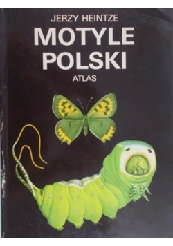 Motyle Polski Atlas