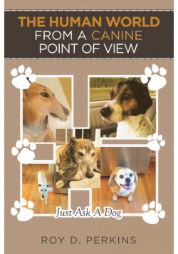 The Human World from a Canine Point of View