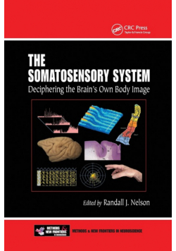 The Somatosensory System