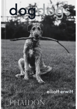 DogDogs wer. angielska
