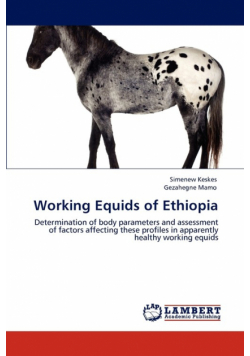 Working Equids of Ethiopia