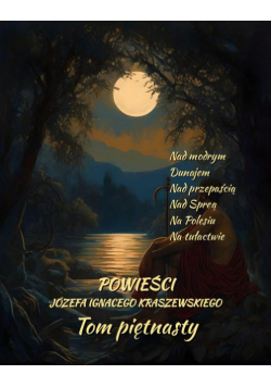 Powieści Józefa Ignacego Kraszewskiego. Tom 15